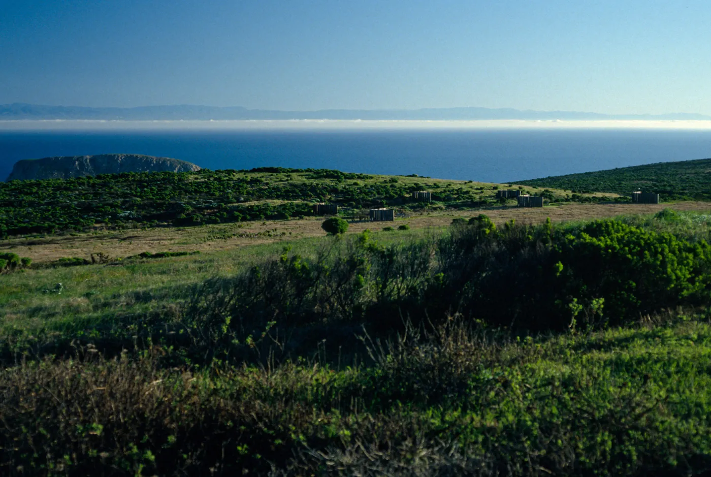campground at dawn, San Miguel Island