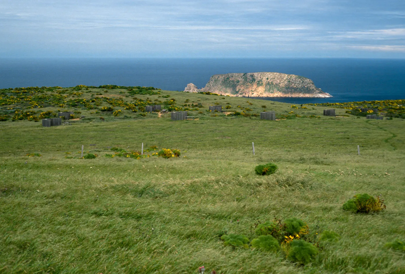 campground, San Miguel Island