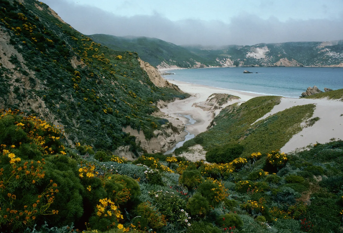 Cuyler Harbor, mouth of Cañada Del Mar, San Miguel Island