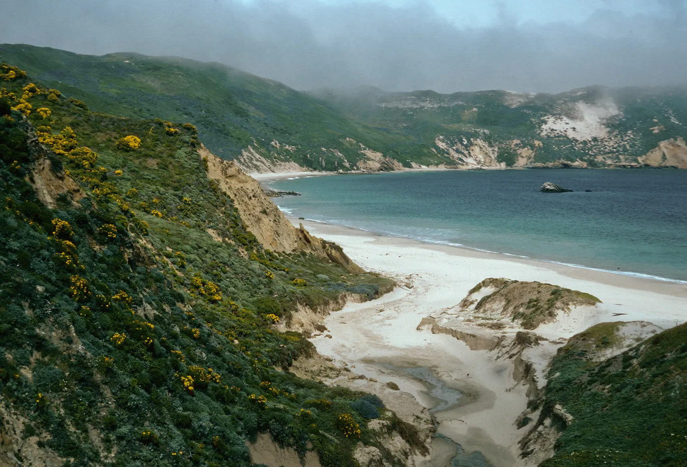Cuyler Harbor, mouth of Cañada Del Mar, San Miguel Island