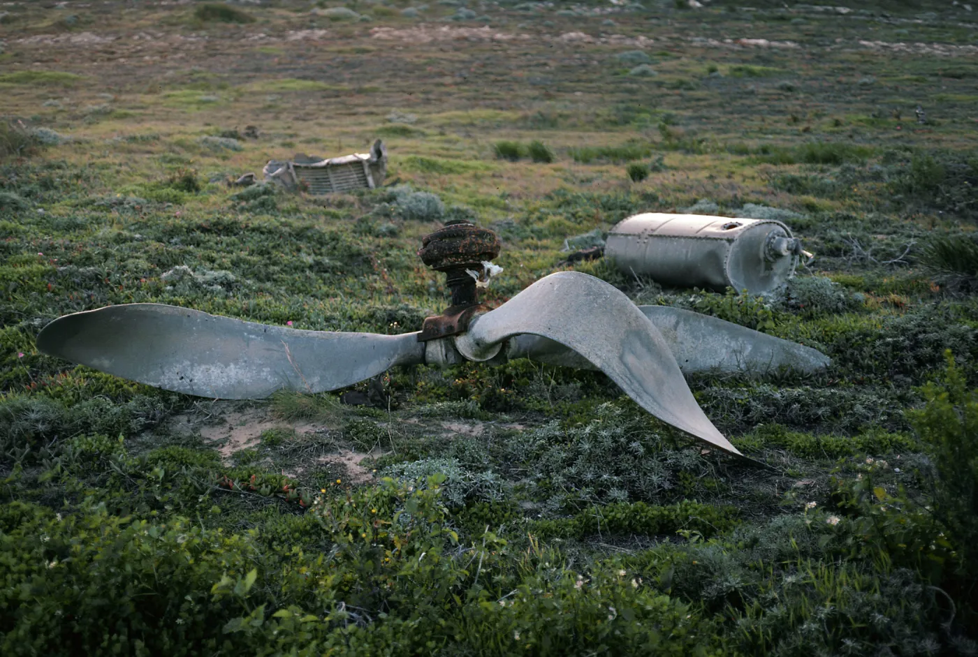 plane wreck, East side of Green Mountain, San Miguel Island