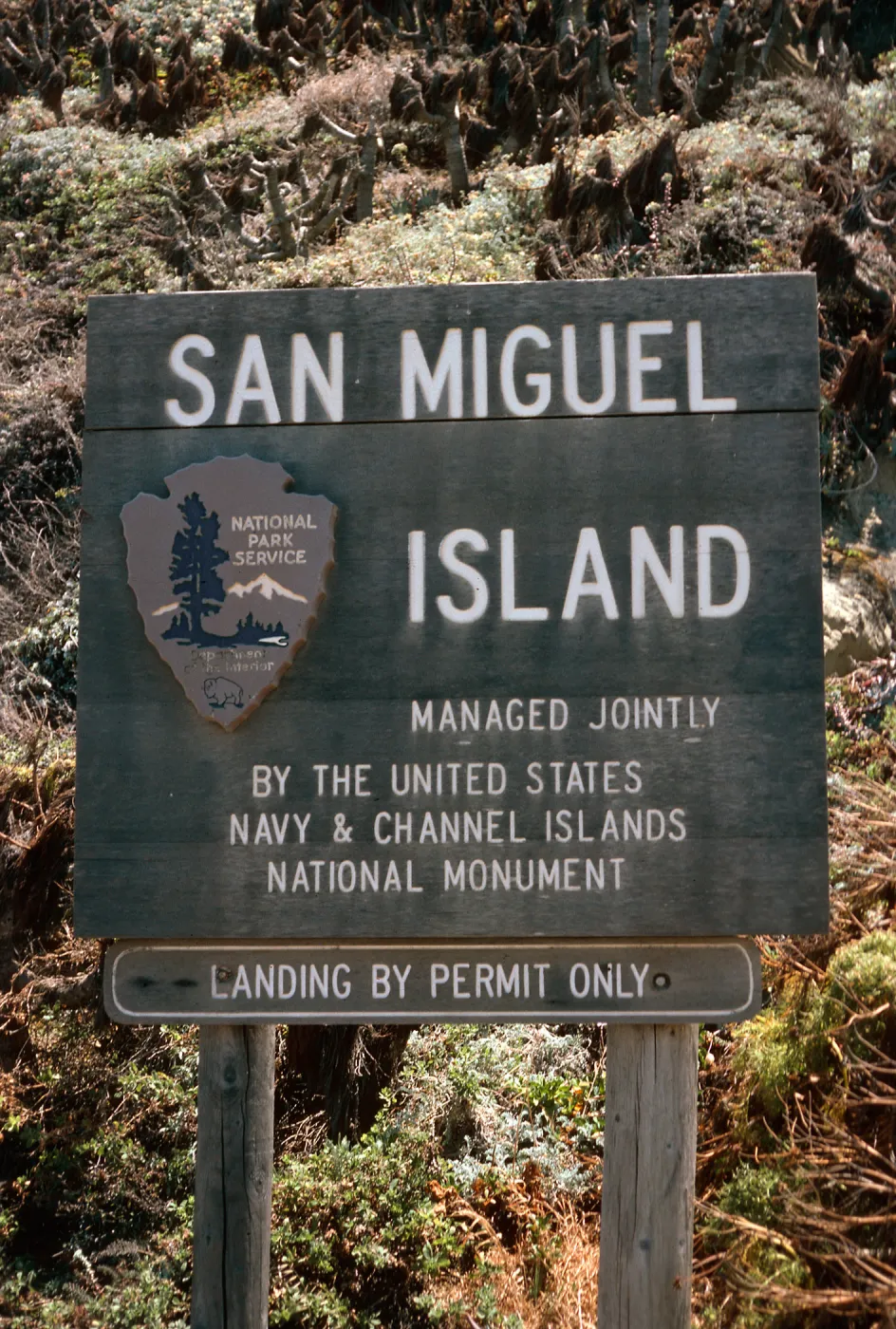 San Miguel Island