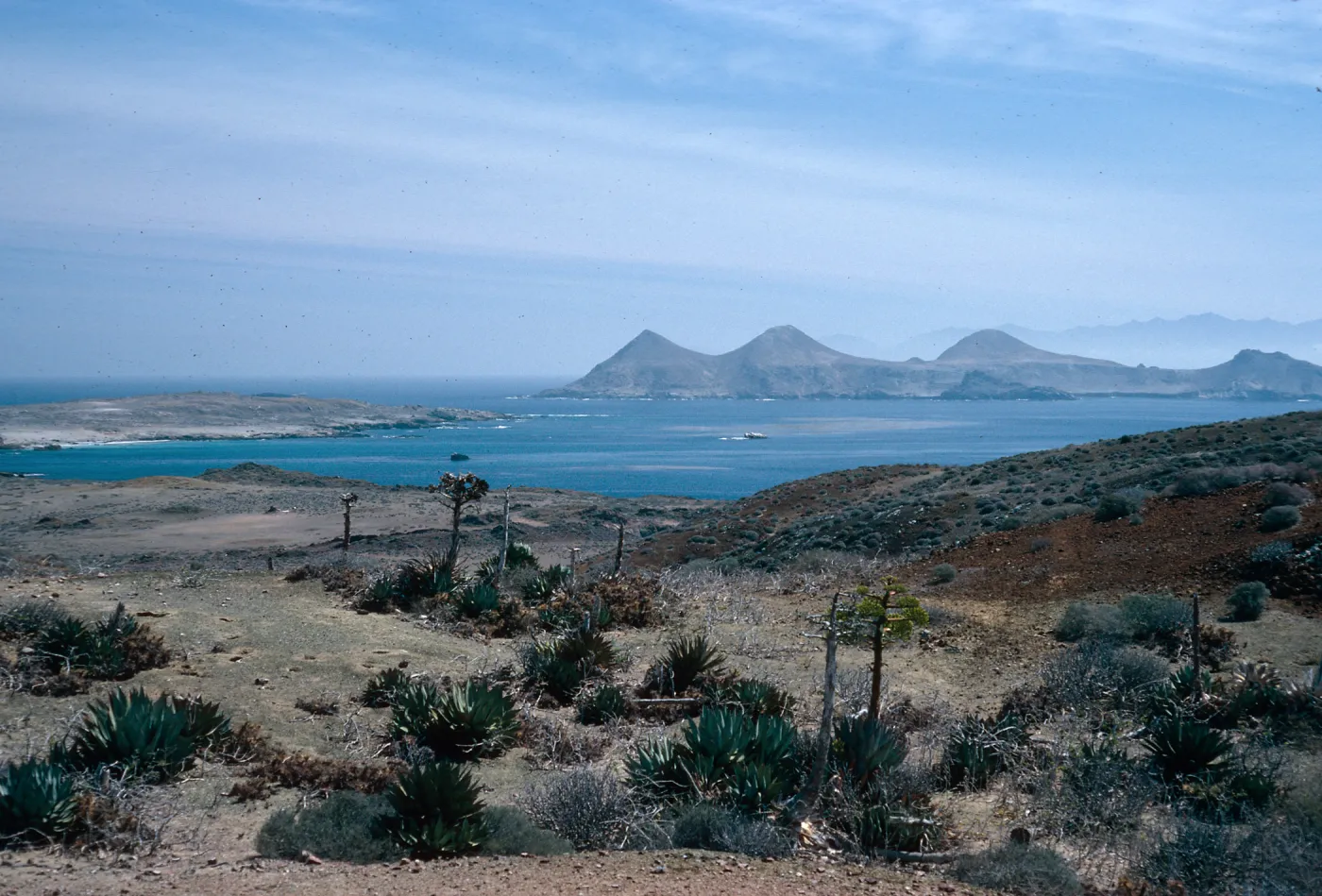 Looking towards East San Benito Island from north side of West San Benito Island
