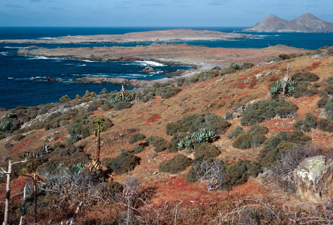 North side of West San Benito Island, looking towards Middle and East San Benito Islands