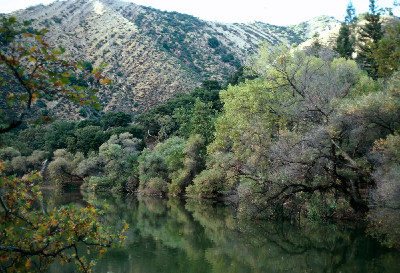 Zaka Lake, Santa Barbara County