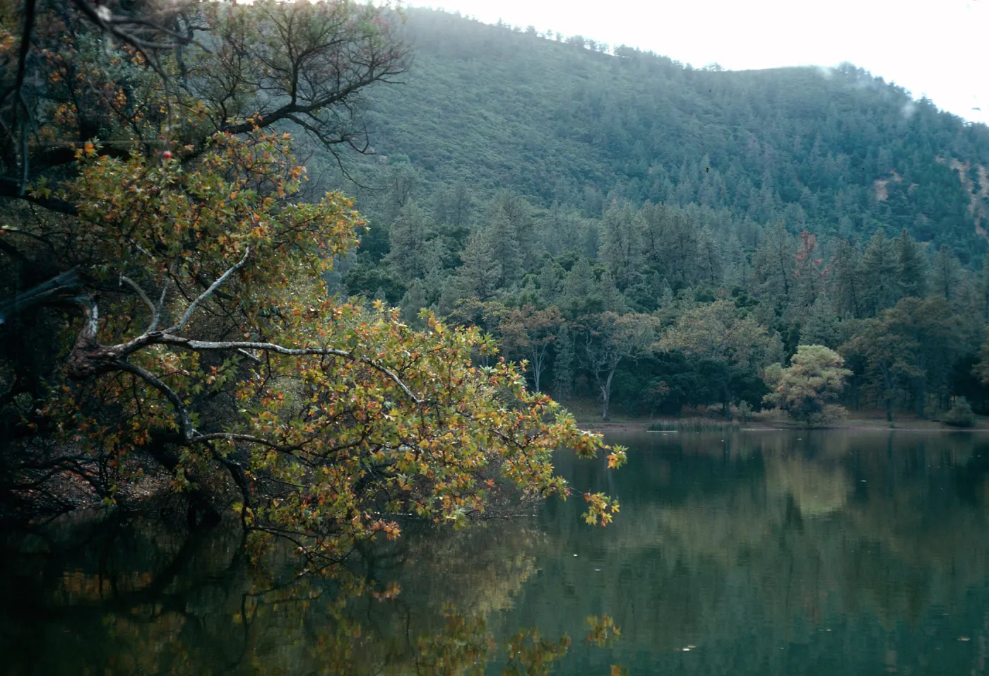 Zaka Lake, Santa Barbara County
