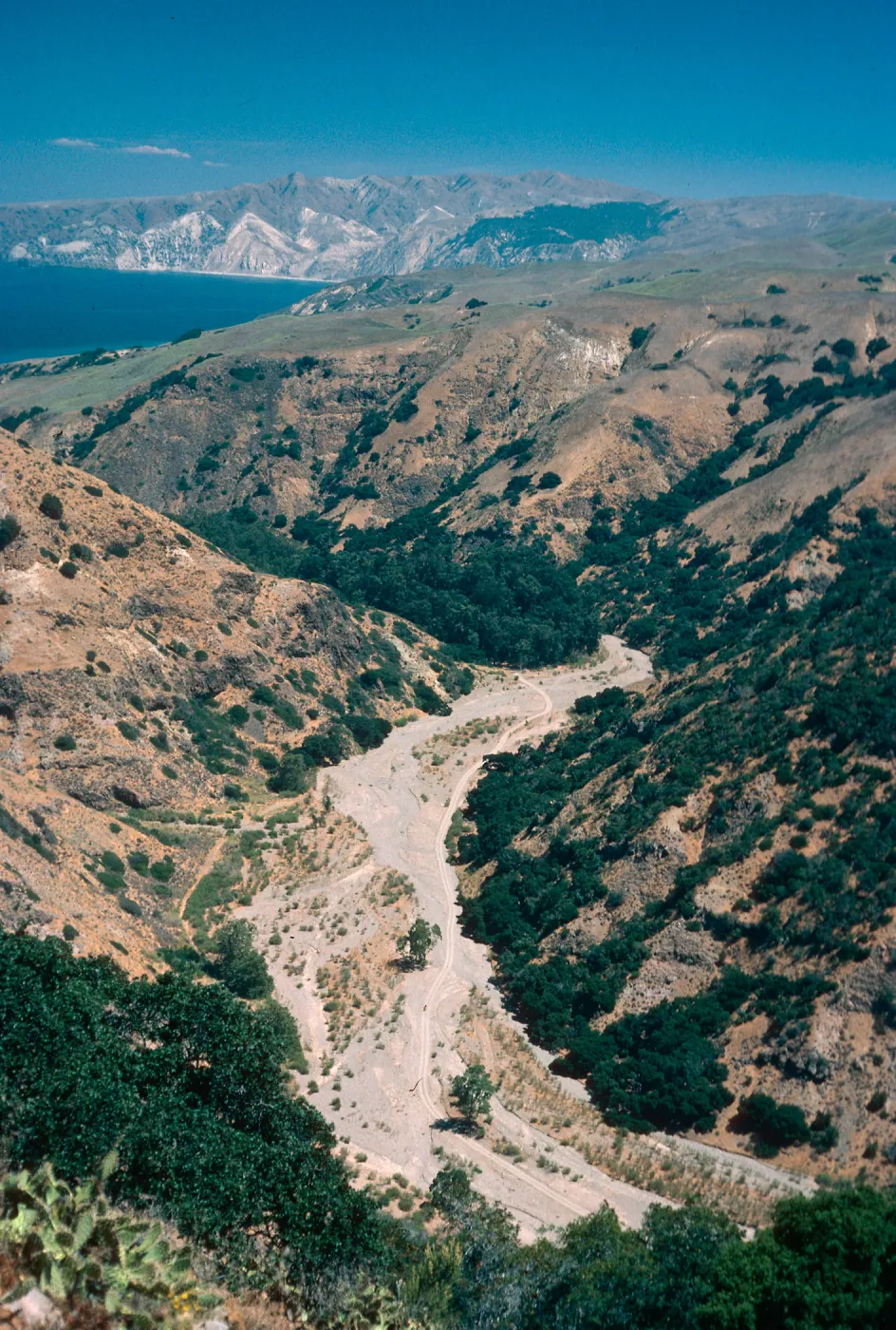 Cañada Del Puerto, Santa Cruz Island