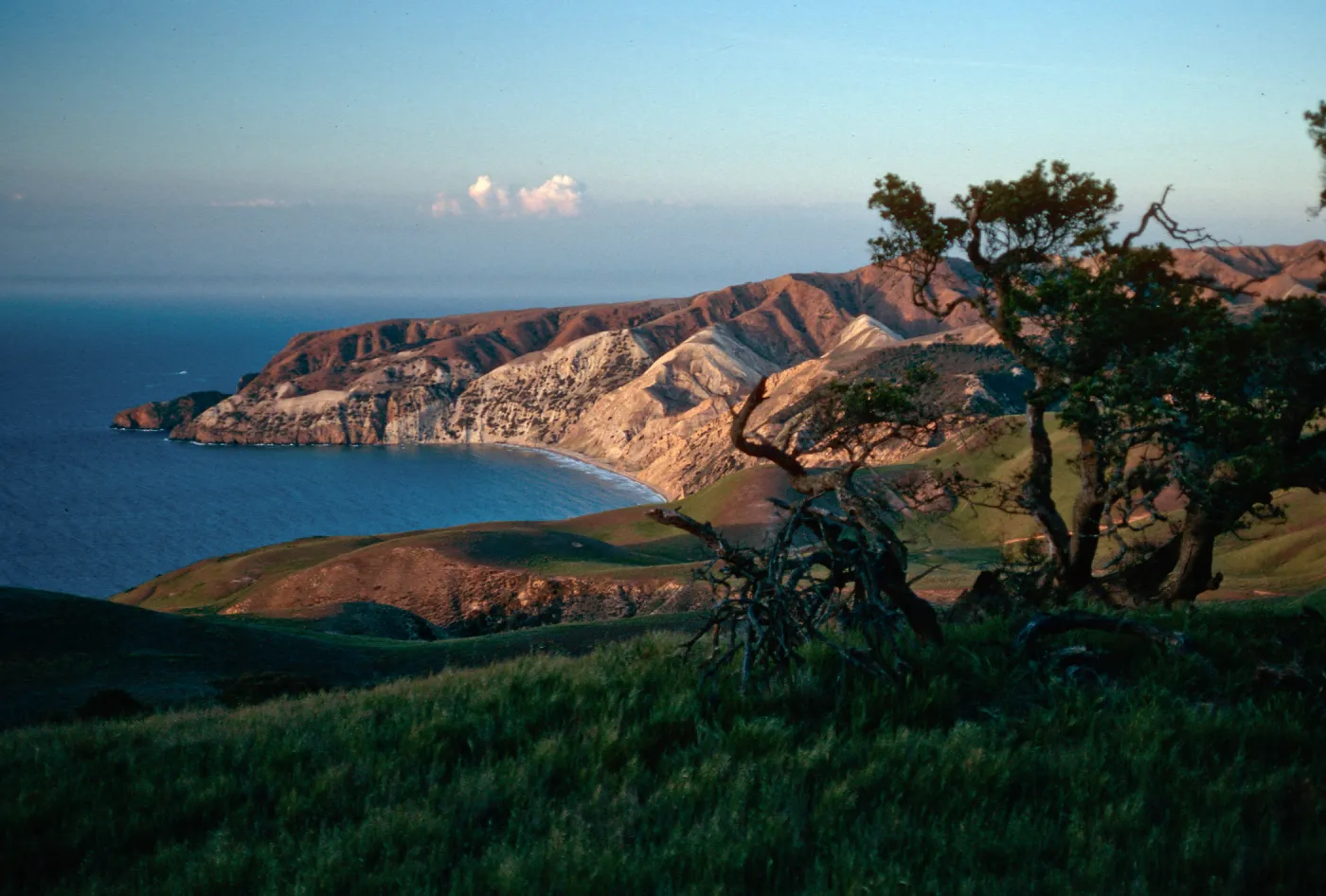 China Harbor, Santa Cruz Island