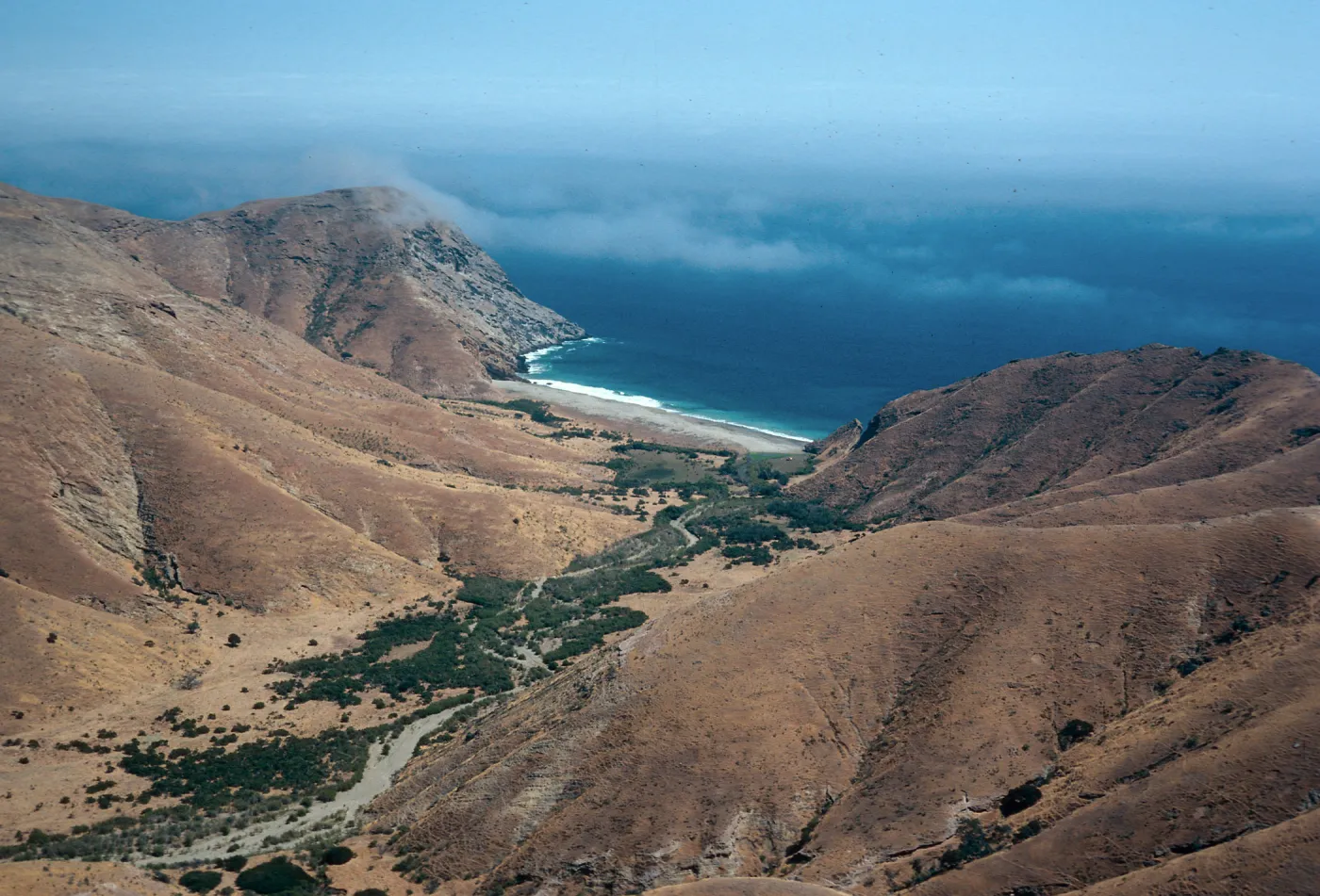 Laguna Canyon, Santa Cruz Island