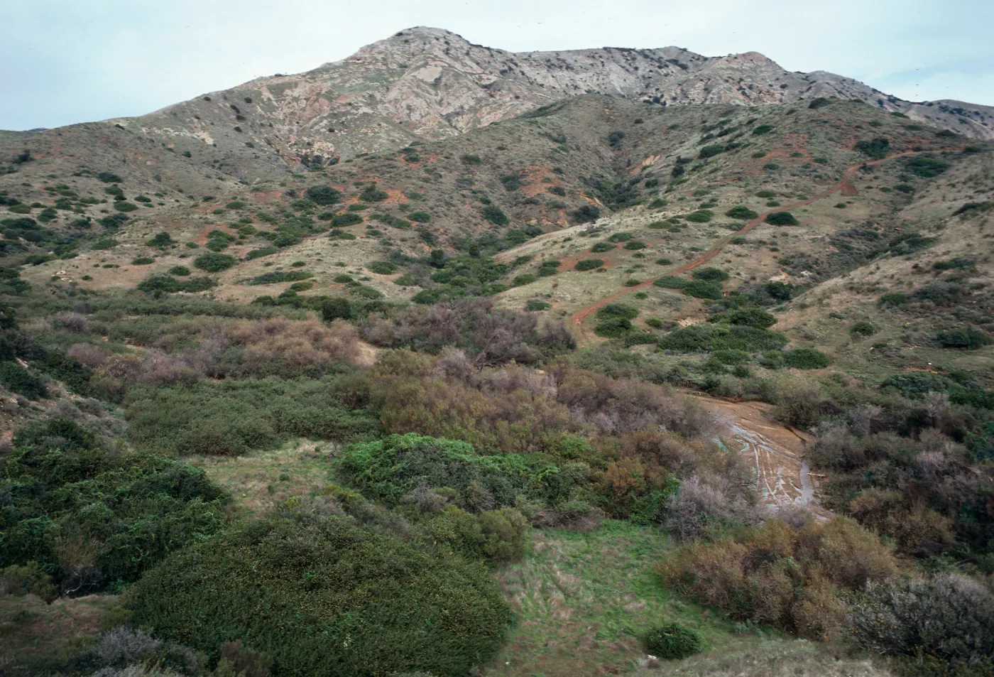 lower Willows Canyon, looking inland in side canyon to West, Santa Cruz Island