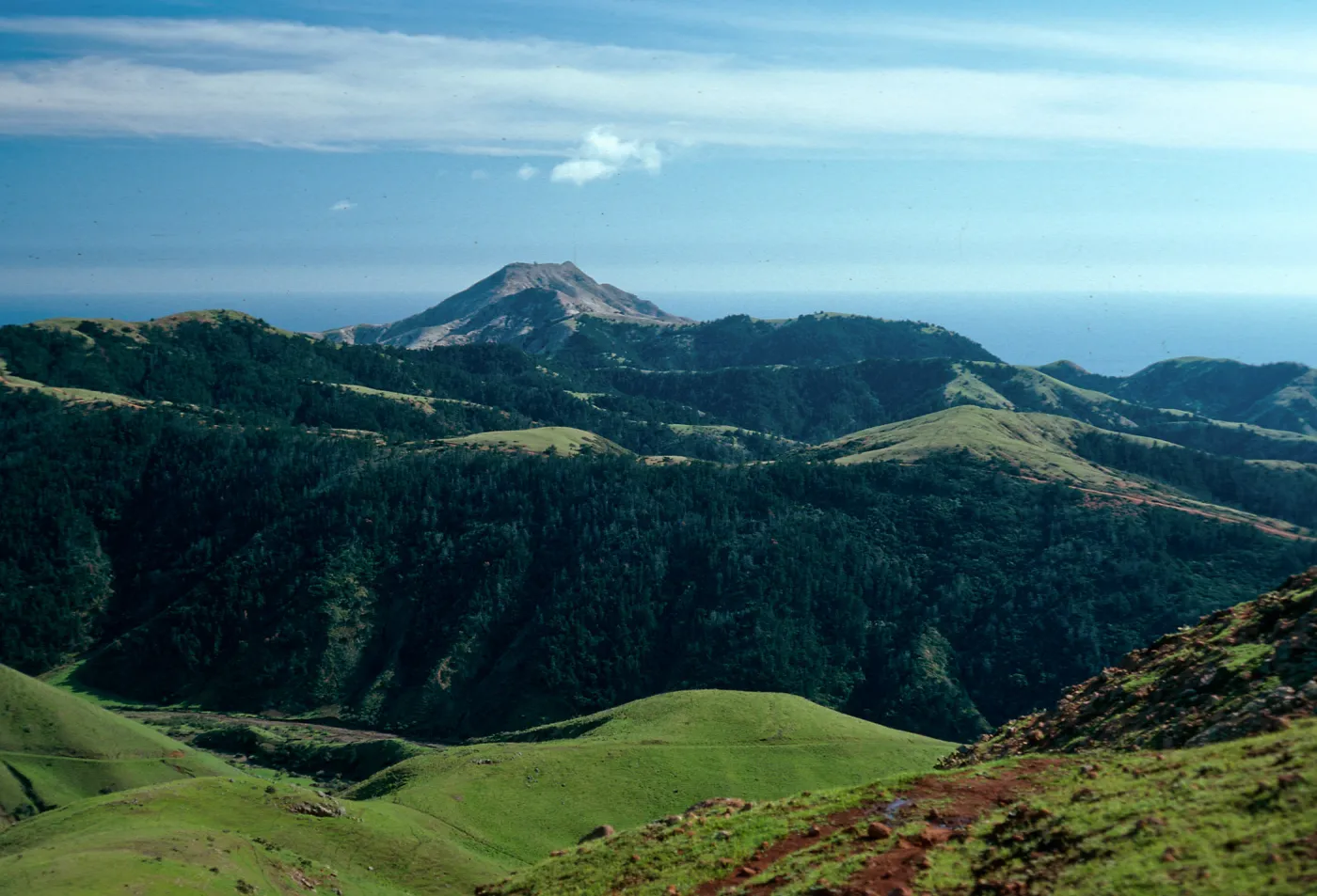 Christy Pines & Ragged Mountain from saddle, West of Peak 1848, Santa Cruz Island