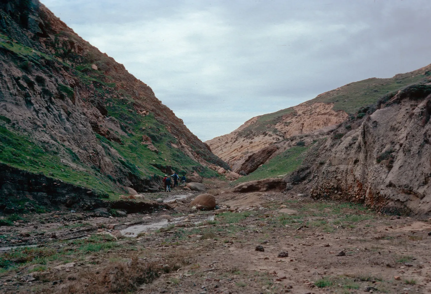 Cañada de Los Sauces, Santa Cruz Island