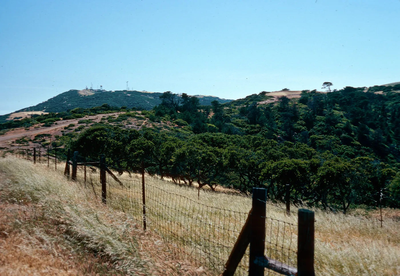 view of navy facility, Santa Cruz Island