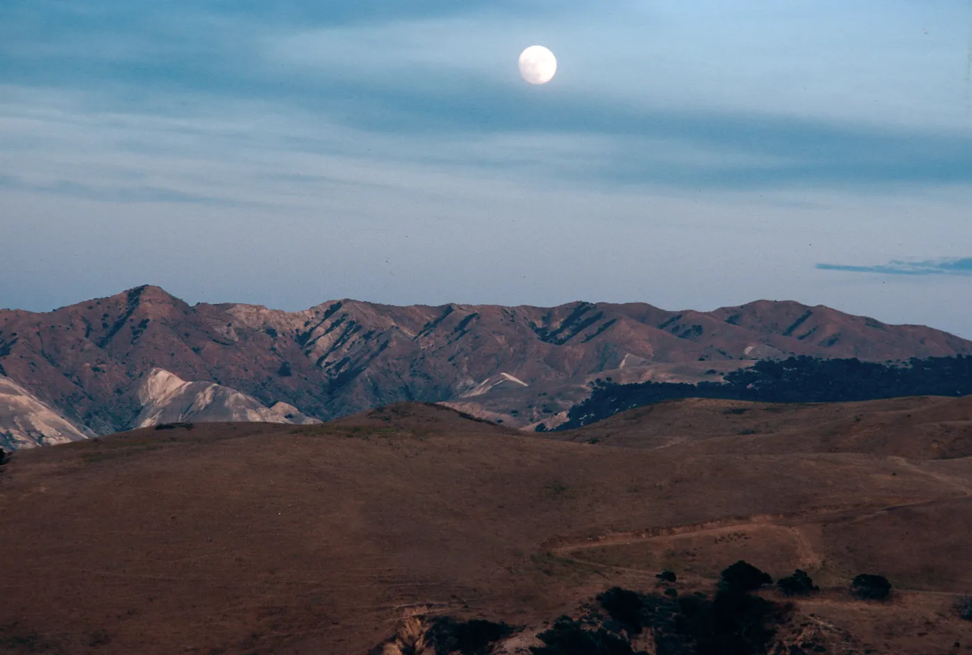 moon over China Harbor, Santa Cruz Island