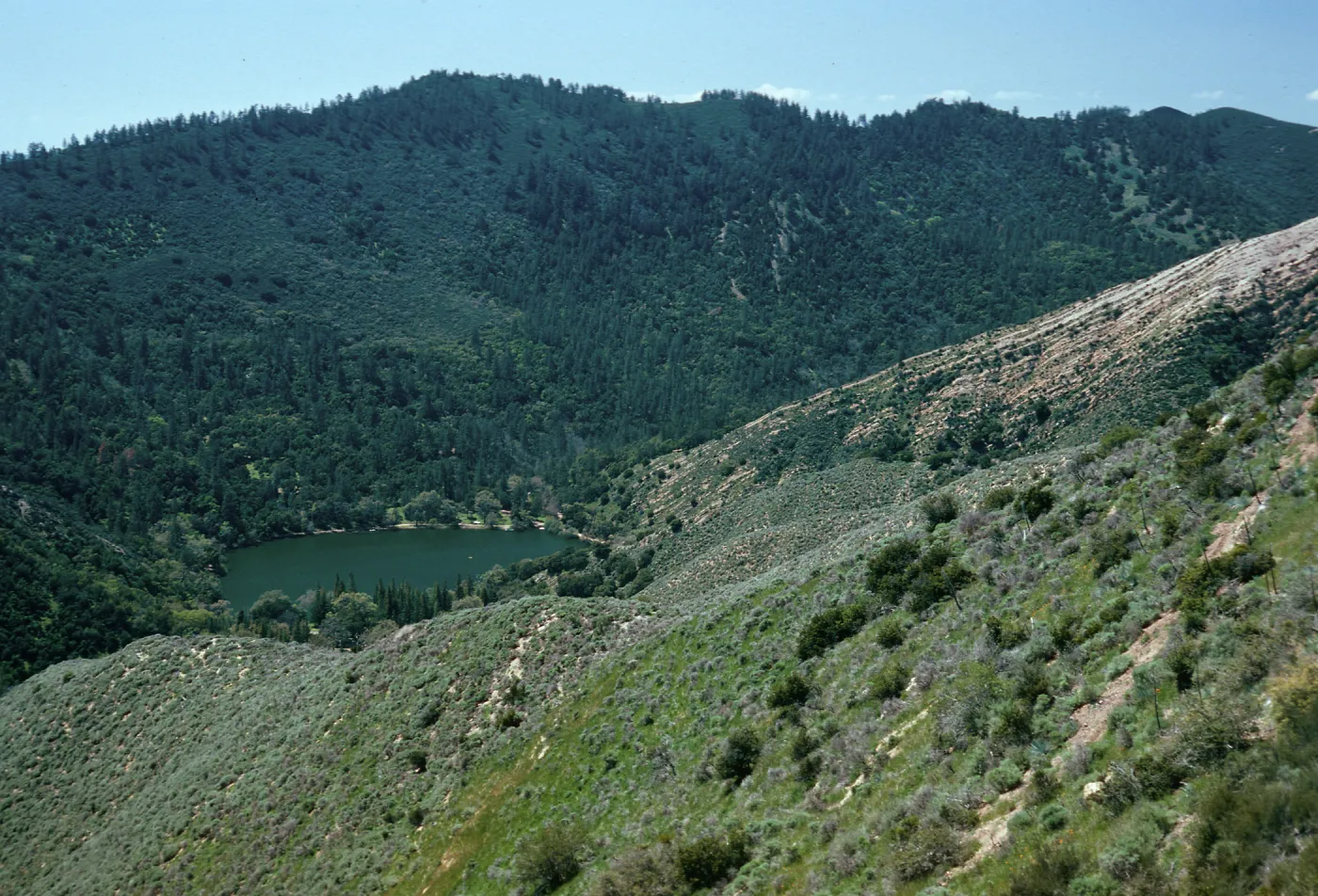 Zaka Lake from Catway Road, Santa Barbara County