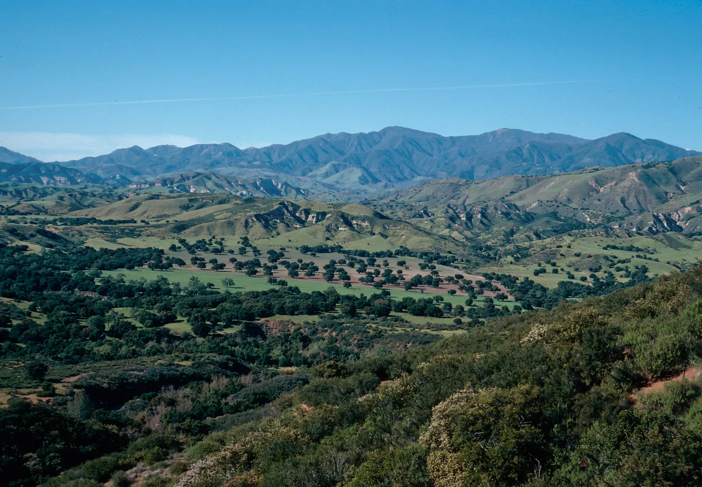 Oak Savannah view from Highway 154