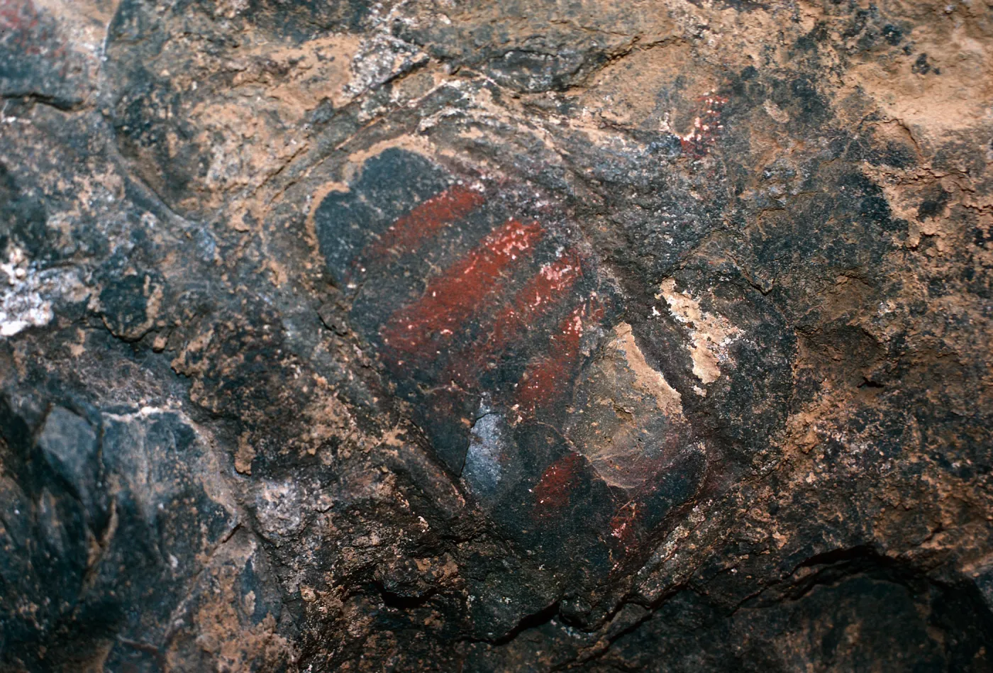 Olsens Cave, Santa Cruz Island