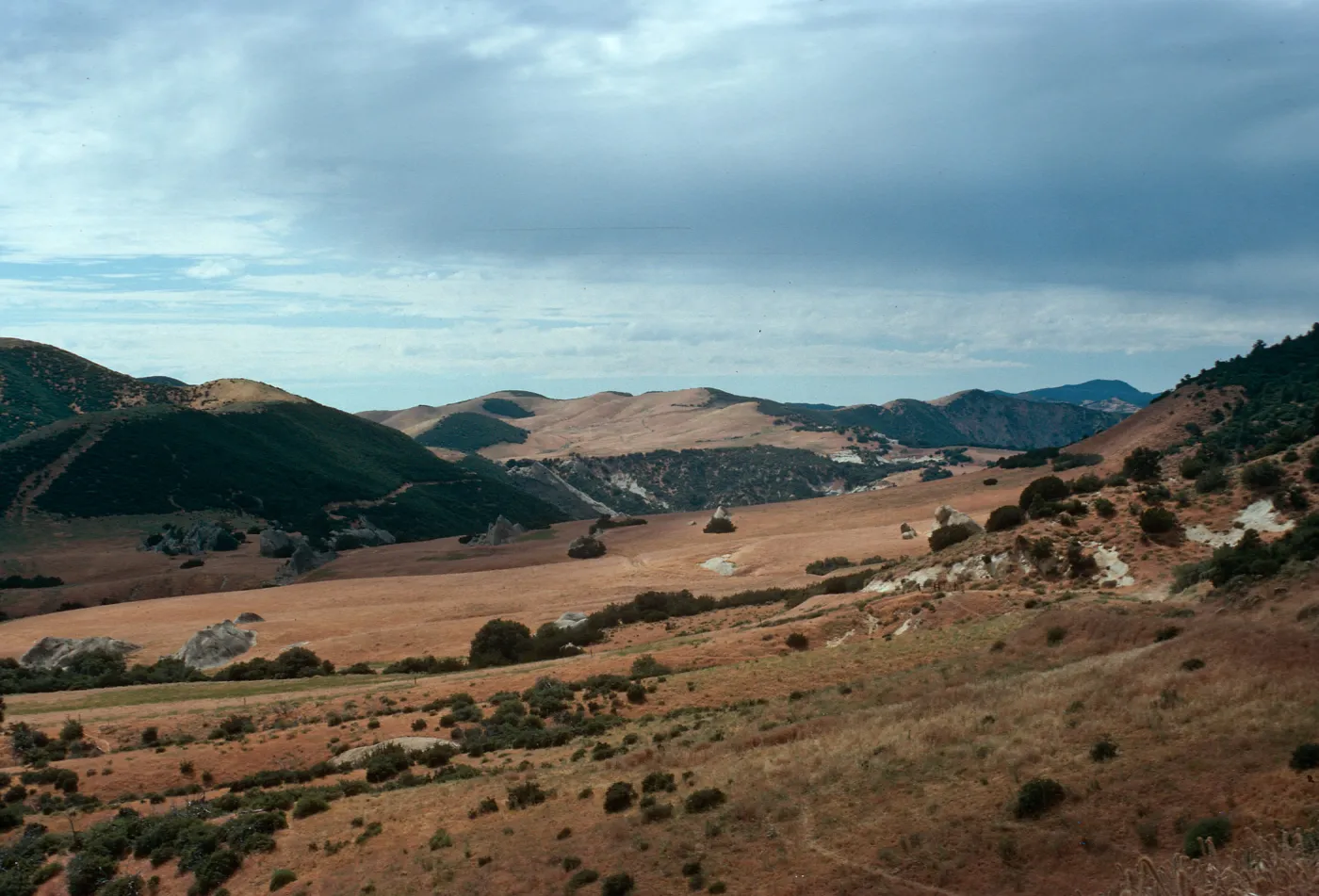Pine Corral Potrero, looking West, Santa Barbara County