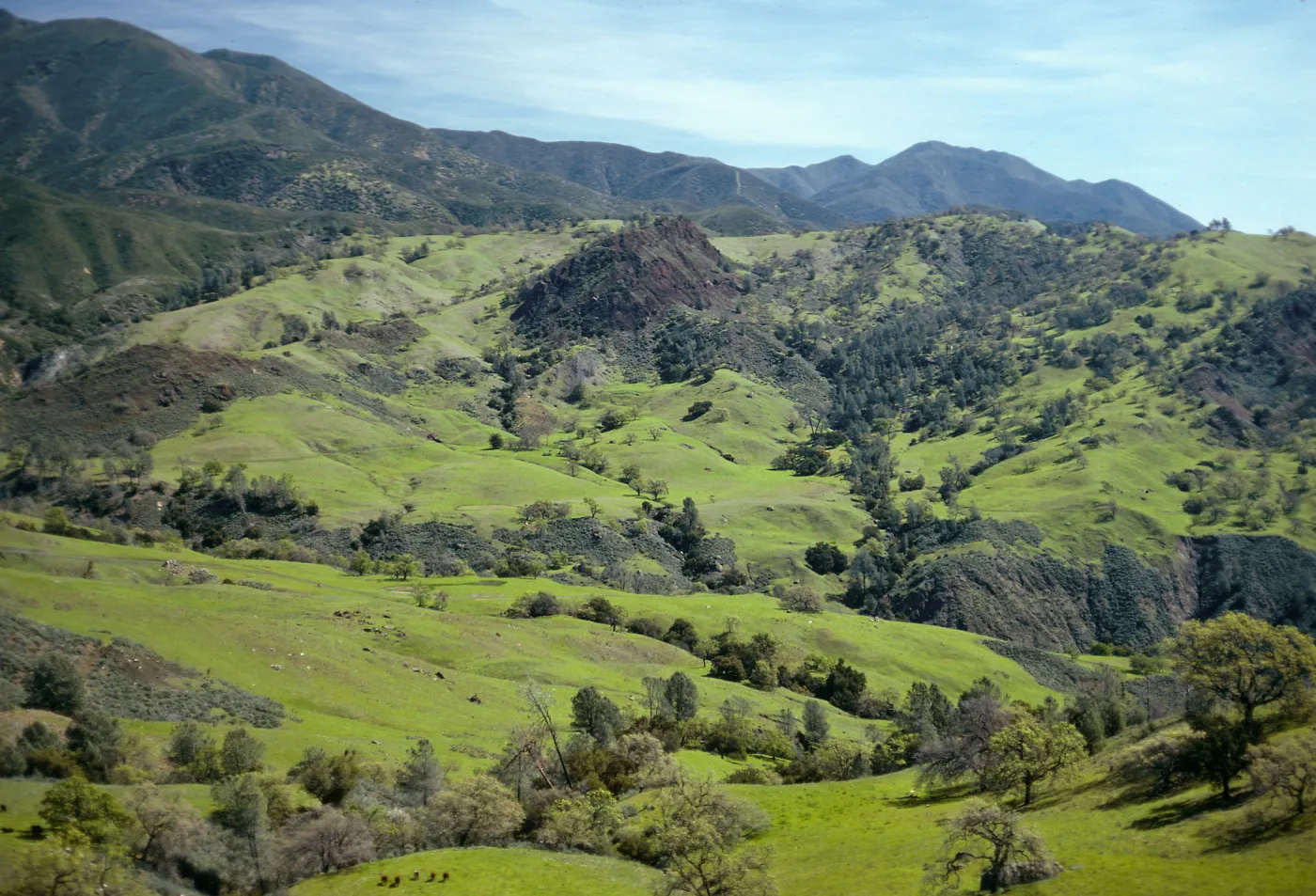 Happy Canyon, looking East from De La Guerra Springs turnoff, Santa Barbara County