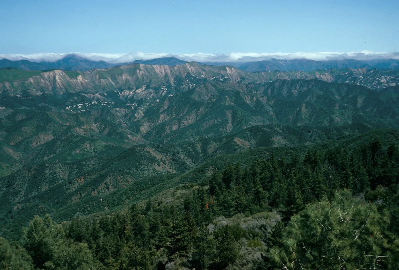 Hurricane Deck from Catway Road, Santa Barbara County