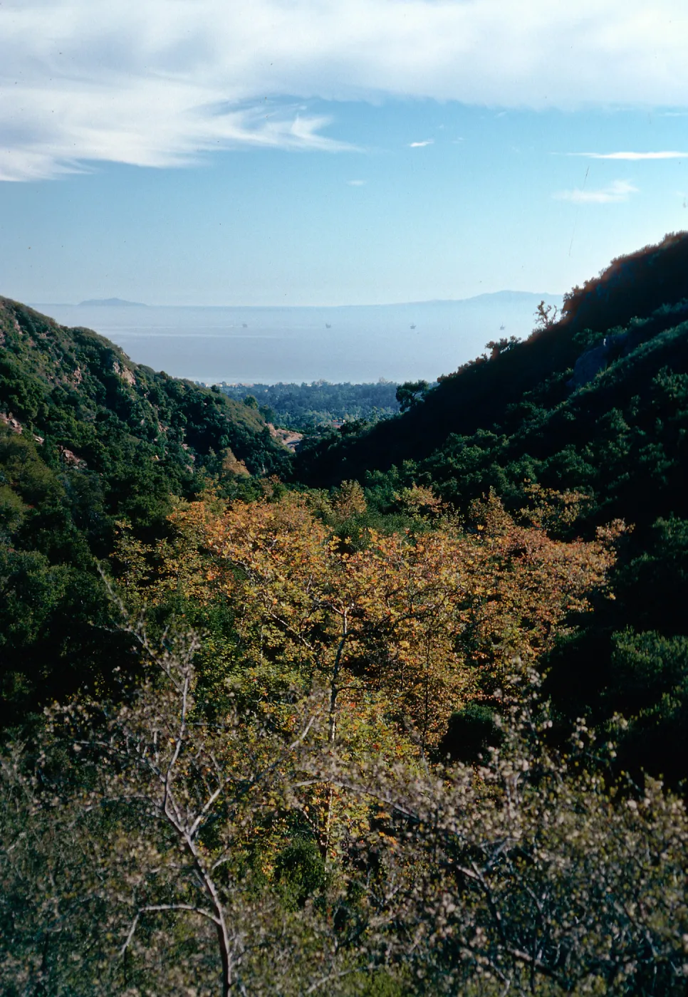 looking down West fork of Cold Springs Canyon, Santa Barbara County