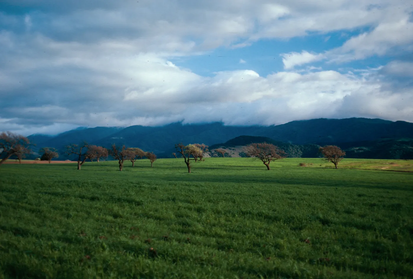Santa Ynez Valley - looking South from Highway 154