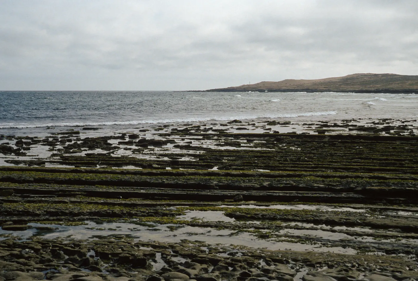 Red Eye Beach, San Nicolas Island