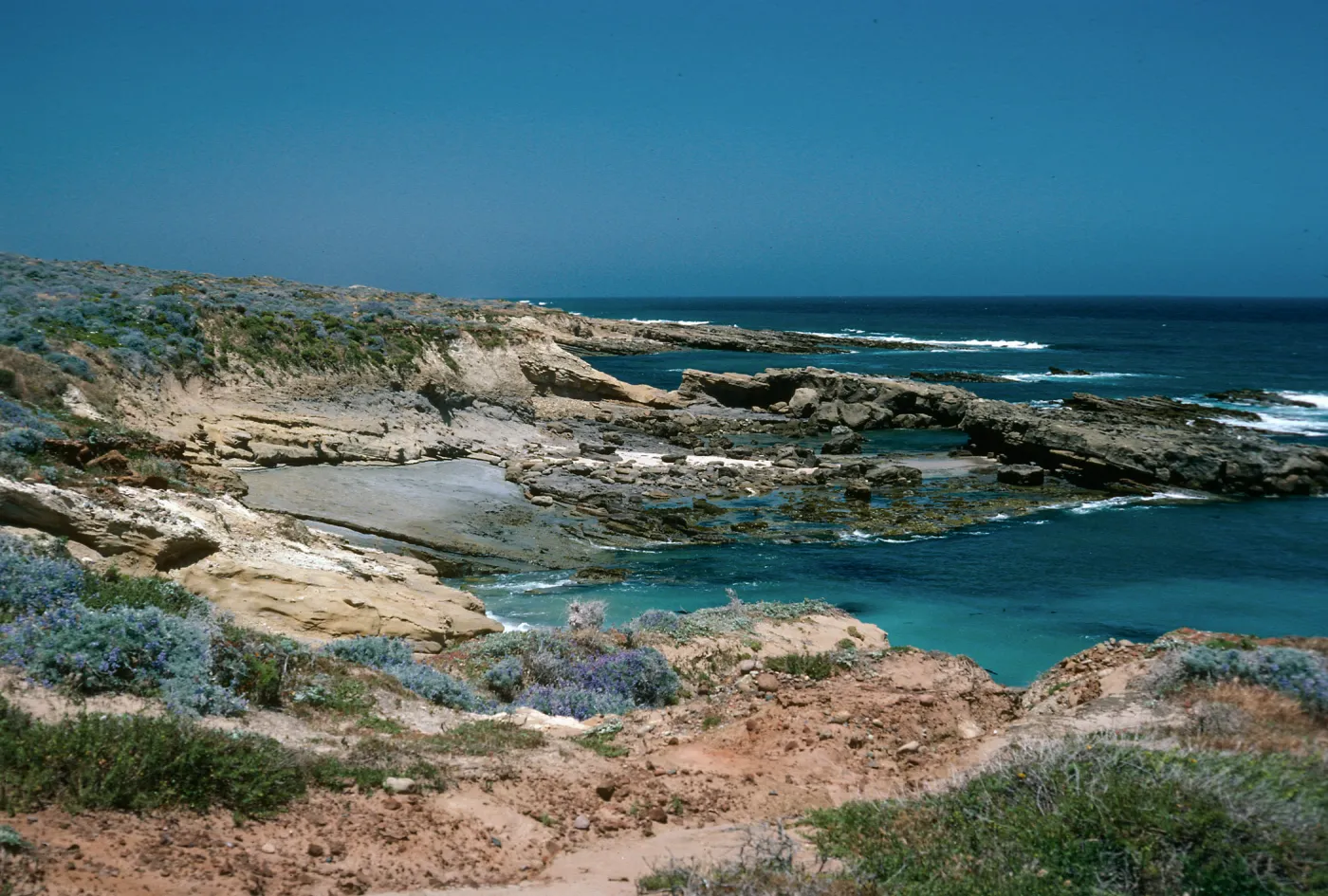 North shore below compound, San Nicolas Island