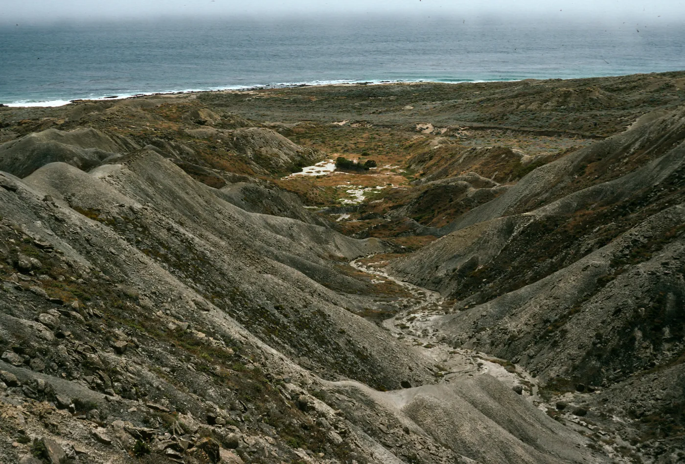 Cattail Canyon, San Nicolas Island