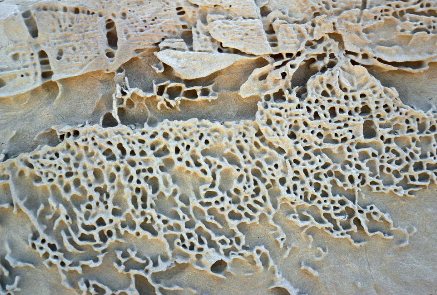 sandstone patterns, Daytona Beach, San Nicolas Island