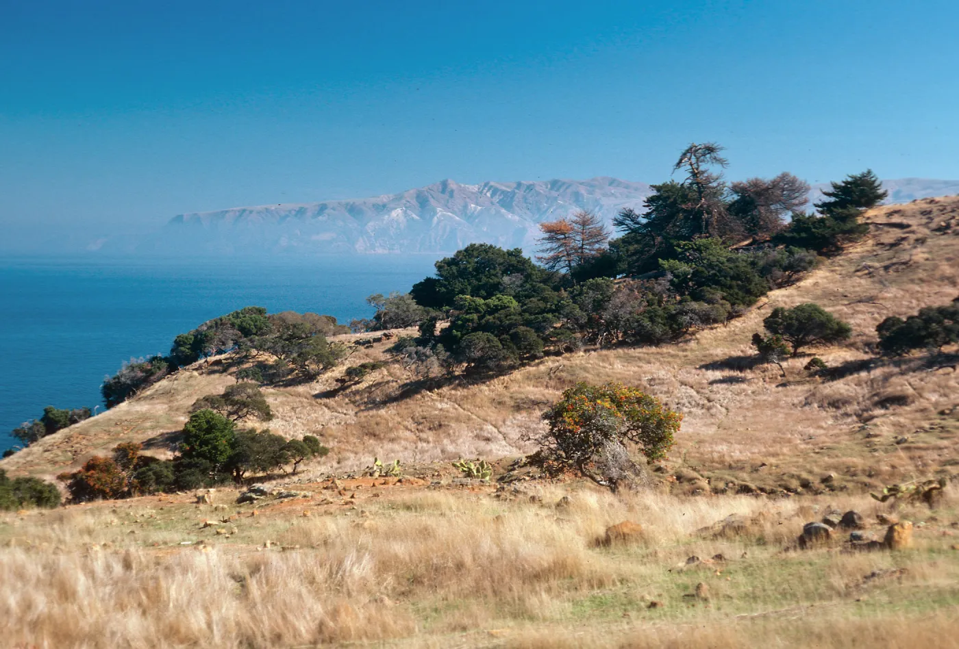 looking East, just East of Pelican Harbor, Santa Cruz Island