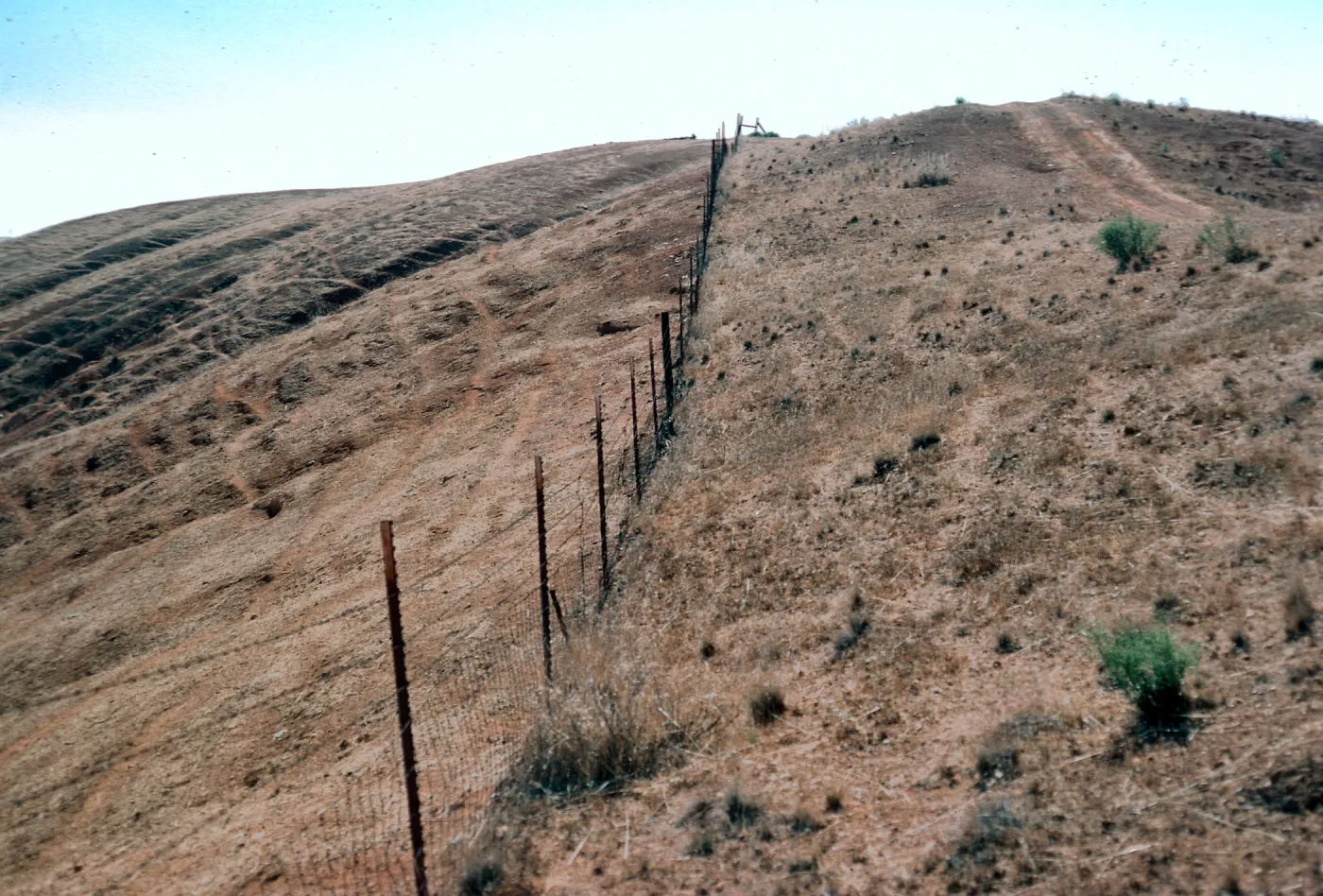fenceline, South ridge, West of El Tigre, Santa Cruz Island