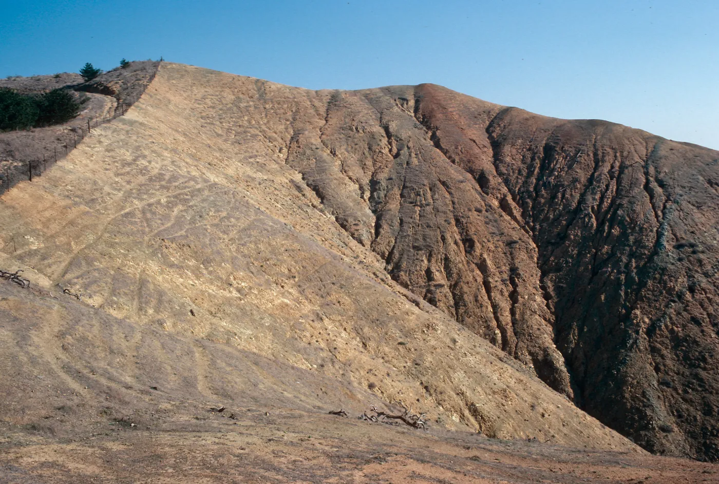 sheep damage, upper Laguna - upper Sauces Road - looking North, Santa Cruz Island