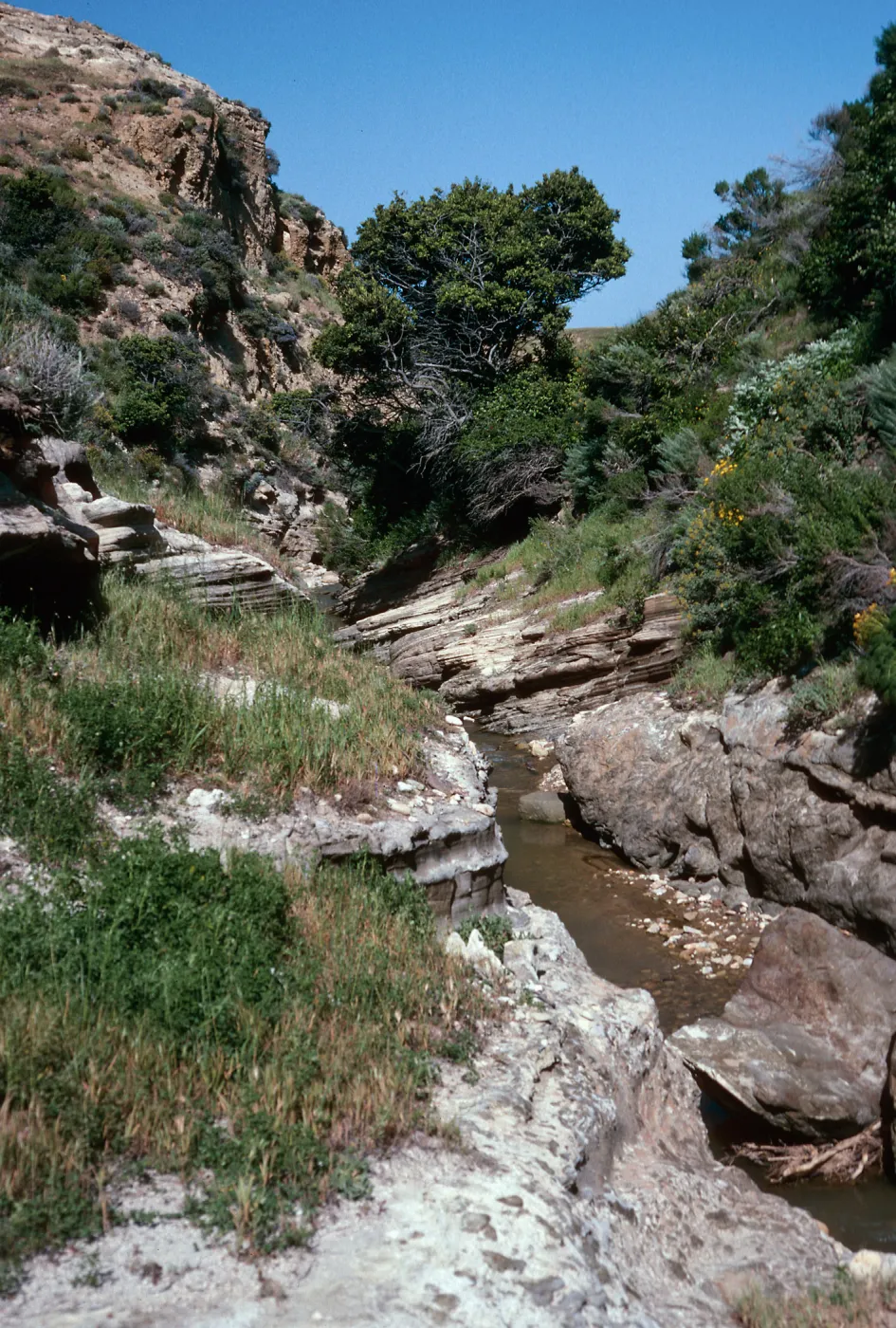 Water Canyon, Santa Rosa Island