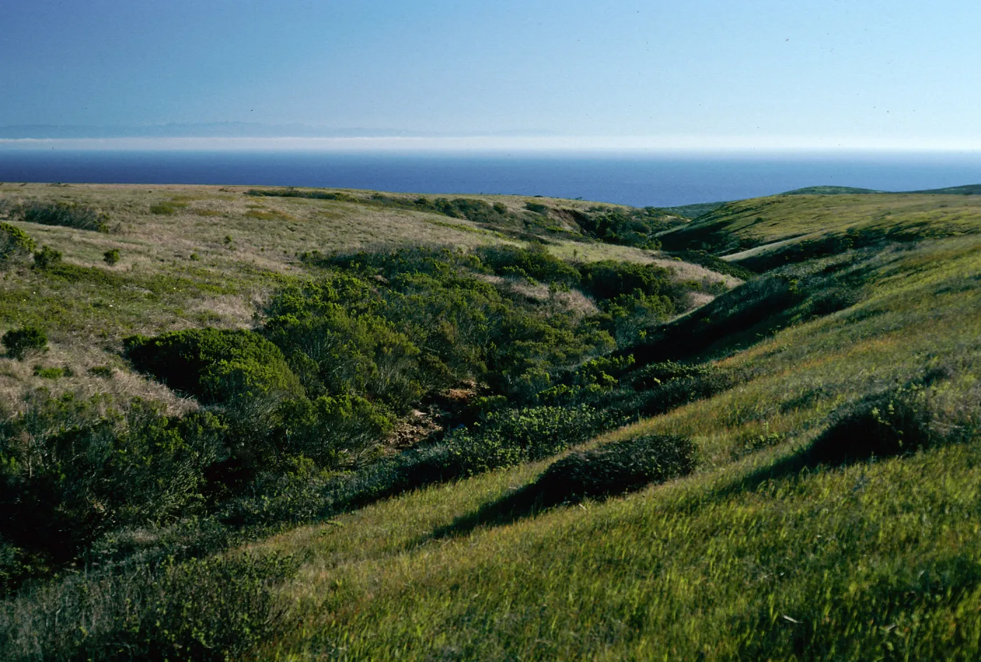 Willow Canyon, from Cardwell Point Trail, San Miguel Island