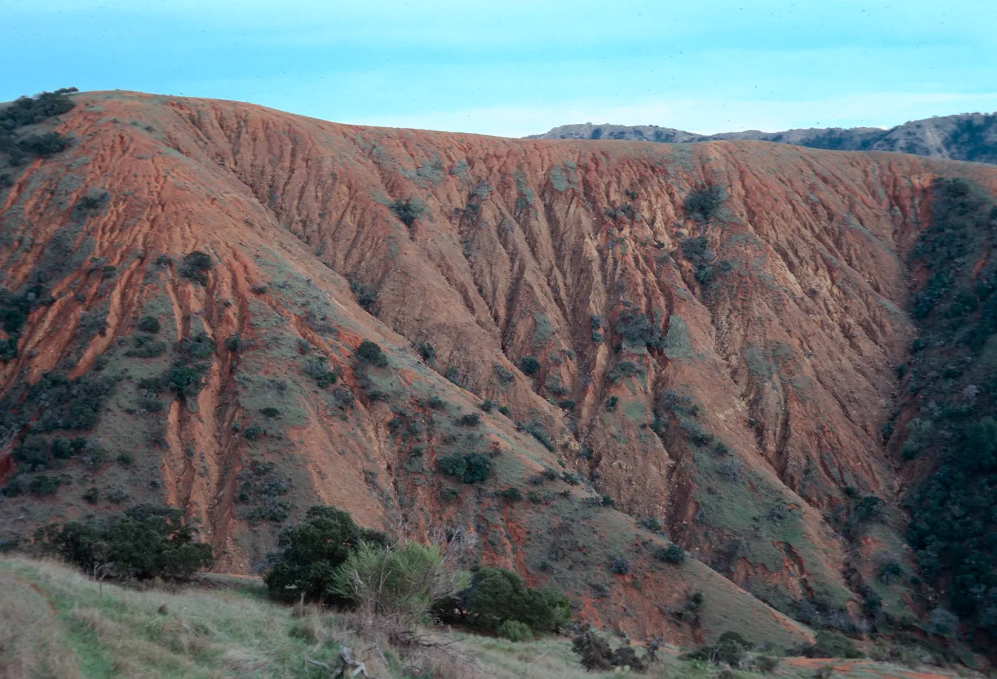 erosion in upper Willows Canyon, looking East from Willows Road, Santa Cruz Island