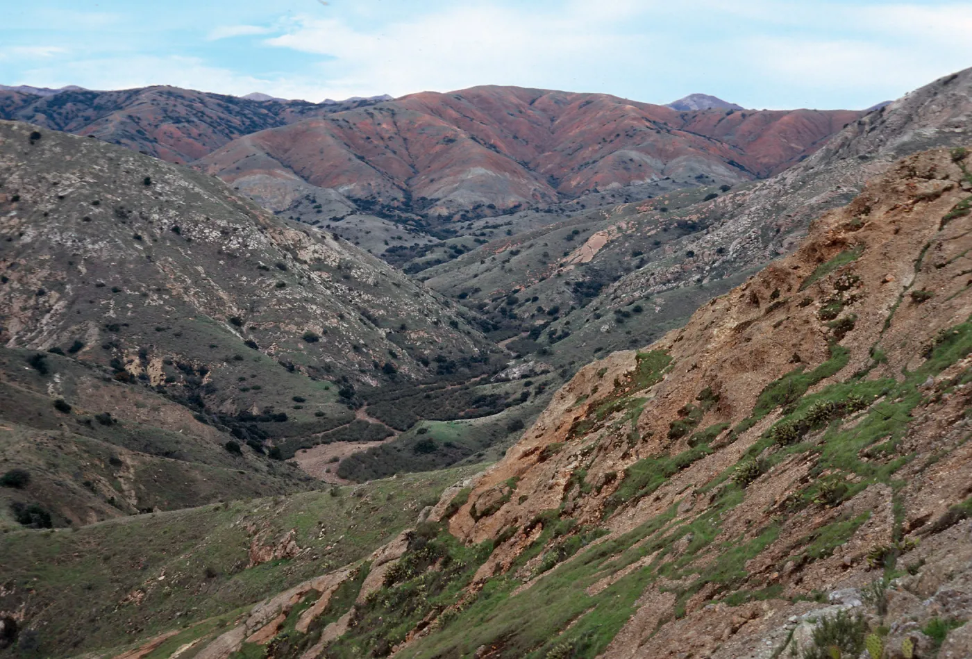 view up Willows Canyon, Santa Cruz Island
