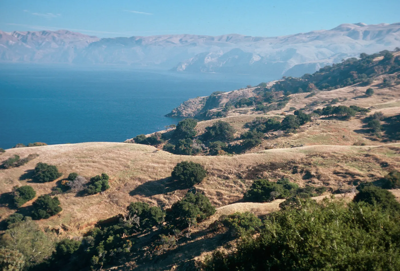 looking East from near Pelican Harbor, Santa Cruz Island