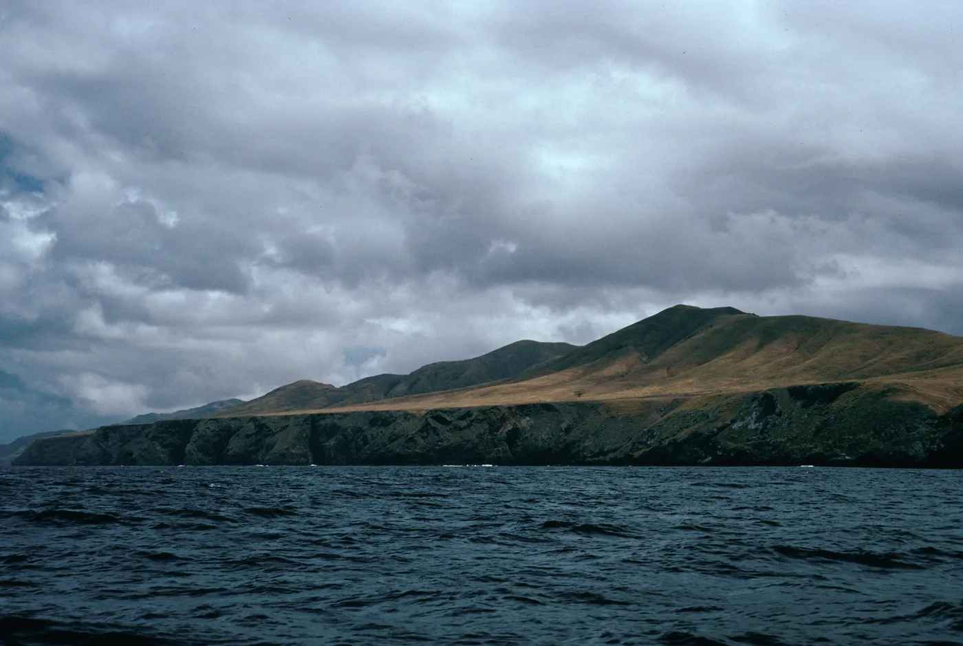Northwest coast, Santa Cruz Island