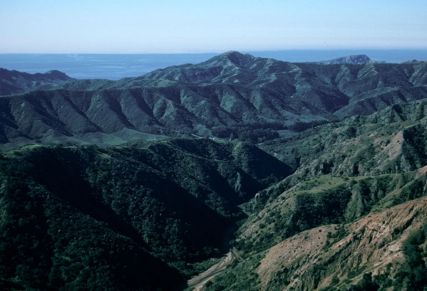 Cañada Del Puerto, Central Valley, Santa Cruz Island