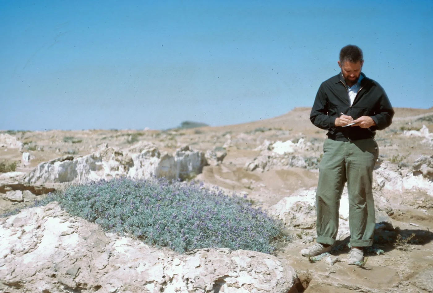 2/ Lupinus (Lupine), Dr. E. C. Evans III, 65-90 & SN-7