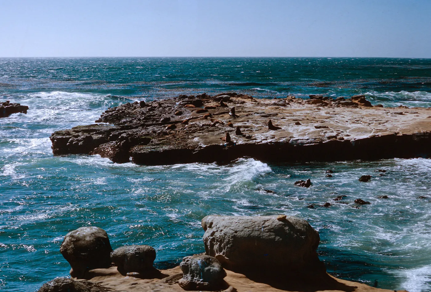 3/ wave cut bench - Sea Lions, 65-98 & SN-15