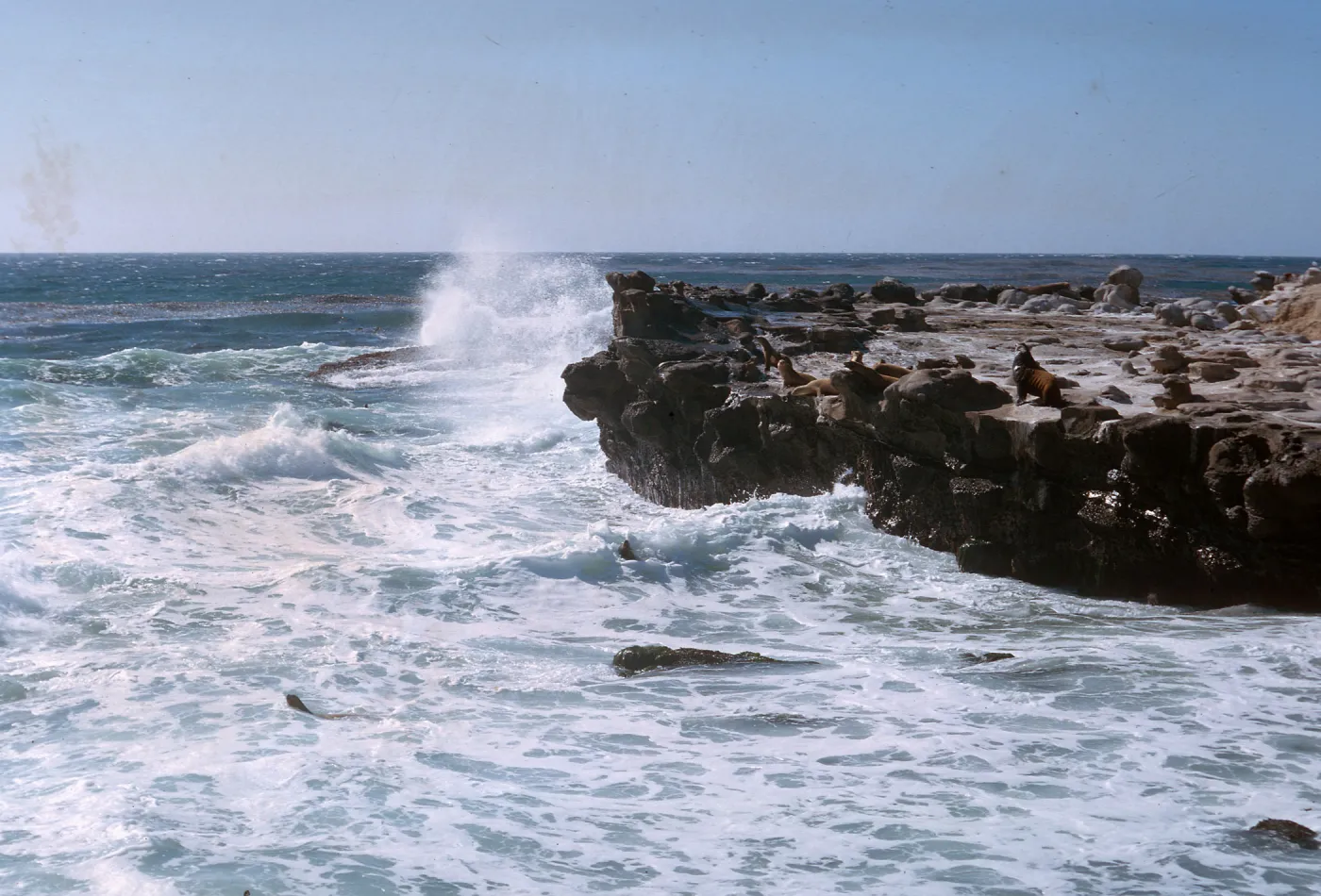 waves striking beach - Sea Lion Beach, 65-107 & SN-24