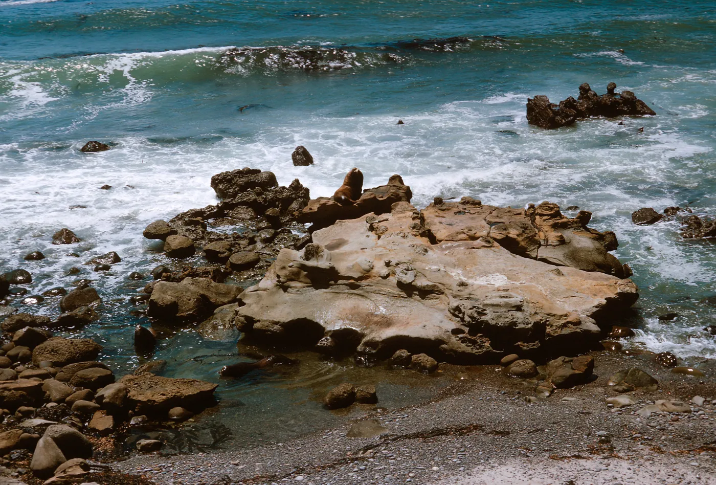 3/ near Sea Lion Beach, 65-138 & SN-55