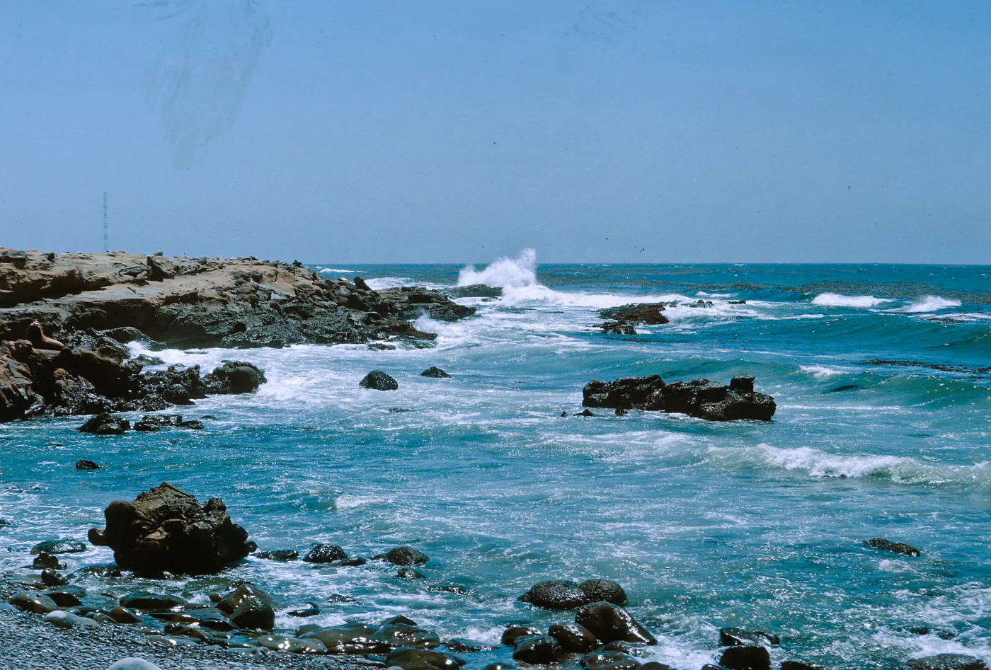 3/ waves striking coast, South of Sea Lion Beach, 65-143 & SN-60