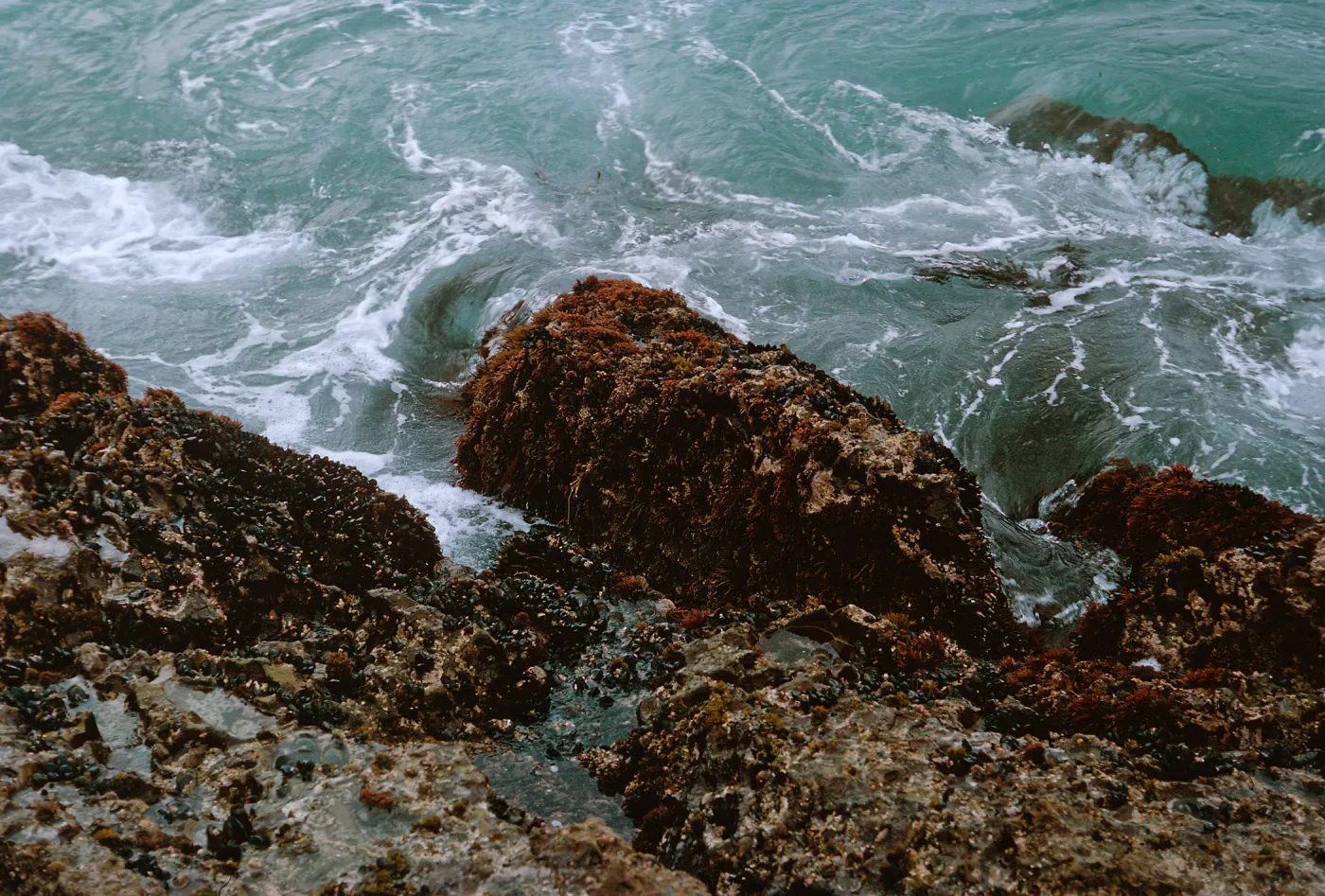 12/ waves & reef, 65-159 & SN-76