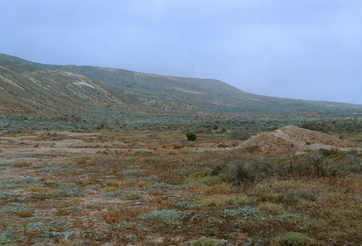 17/ looking Northwest along East facing coast, North of Army Camp Beach, 65-184 & SN-101