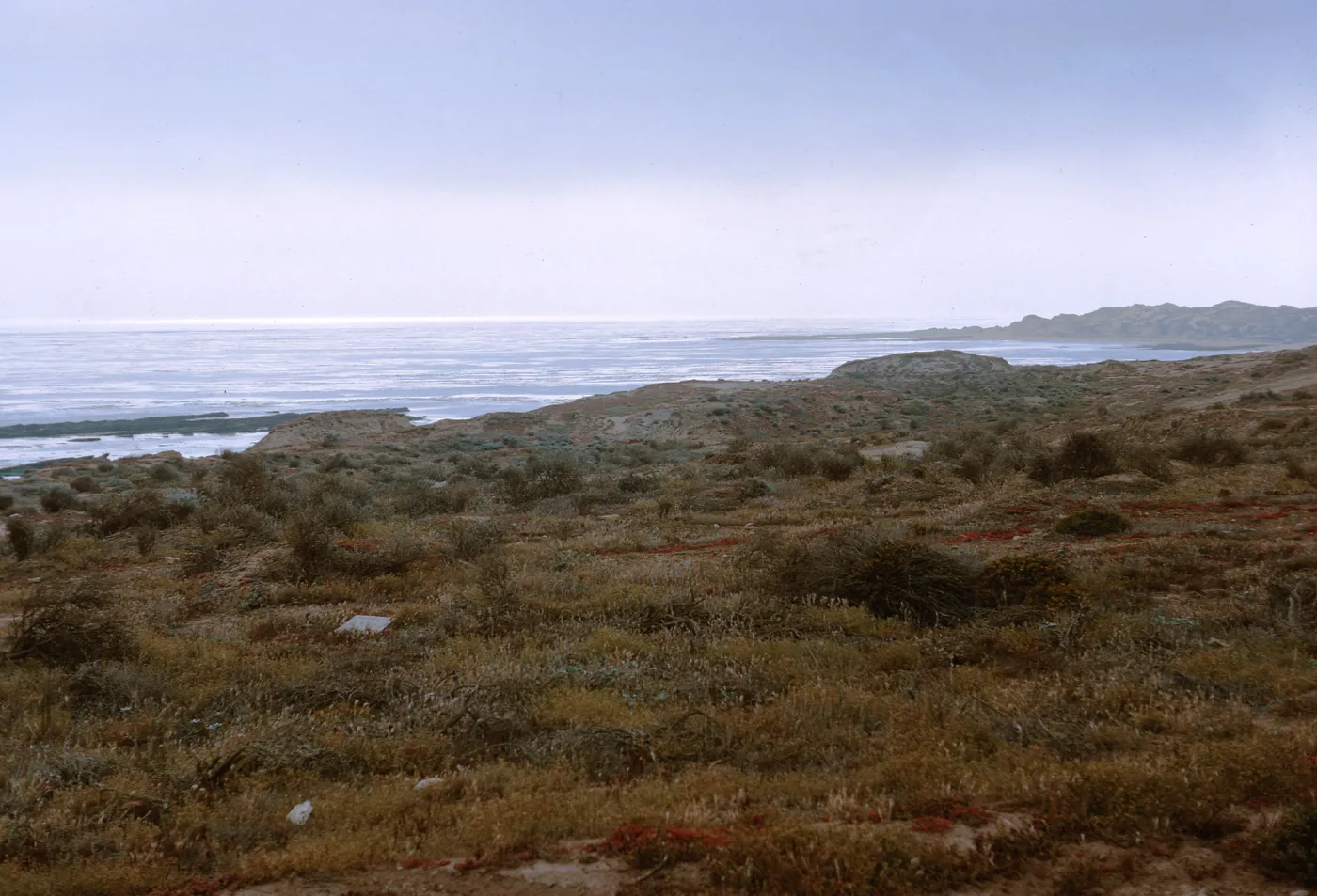 17/ looking Southeast along coast from North of Army Camp Beach (in background), 65-185 & SN-102
