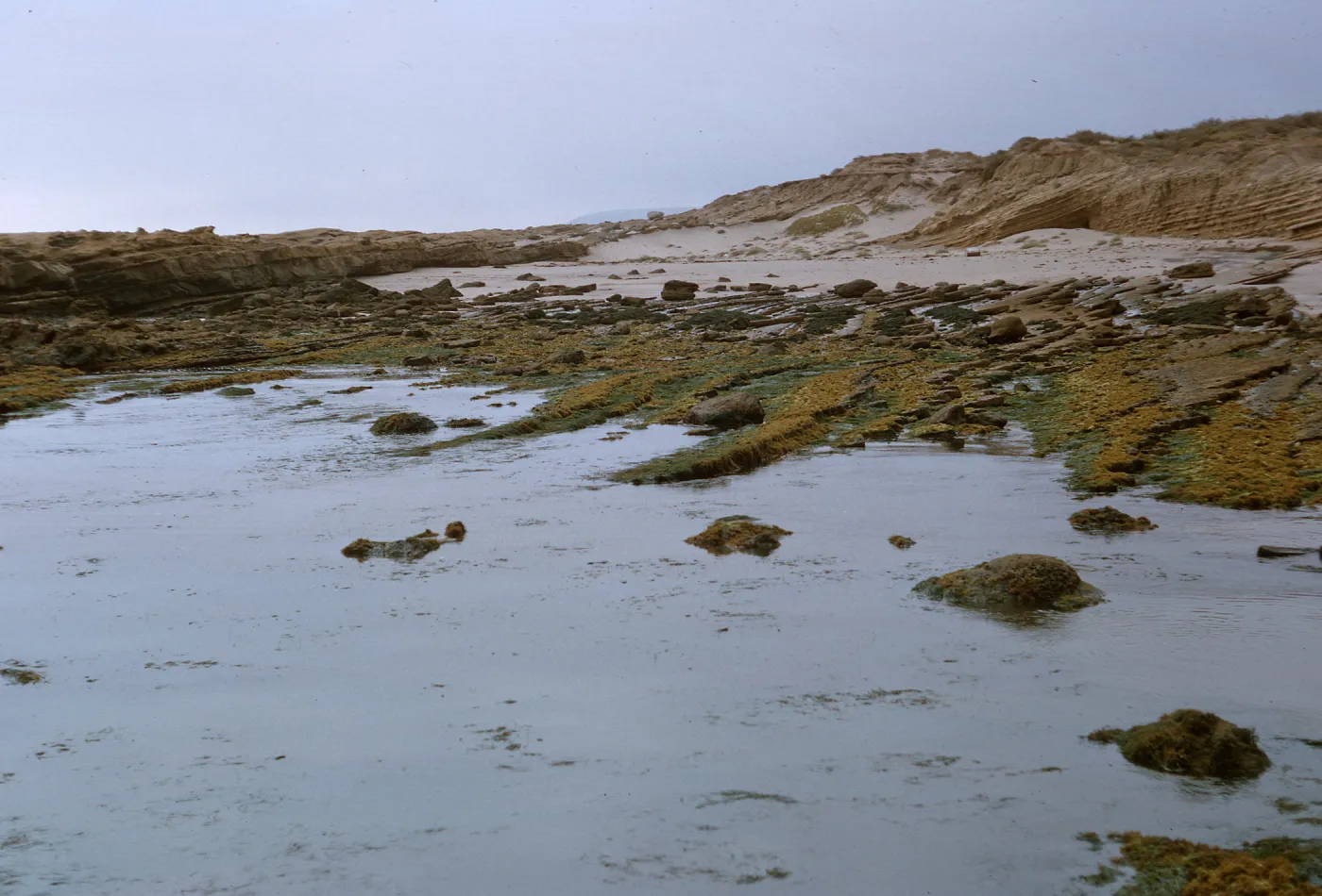 19/ looking South across Corral Harbor, 65-191 & SN-108