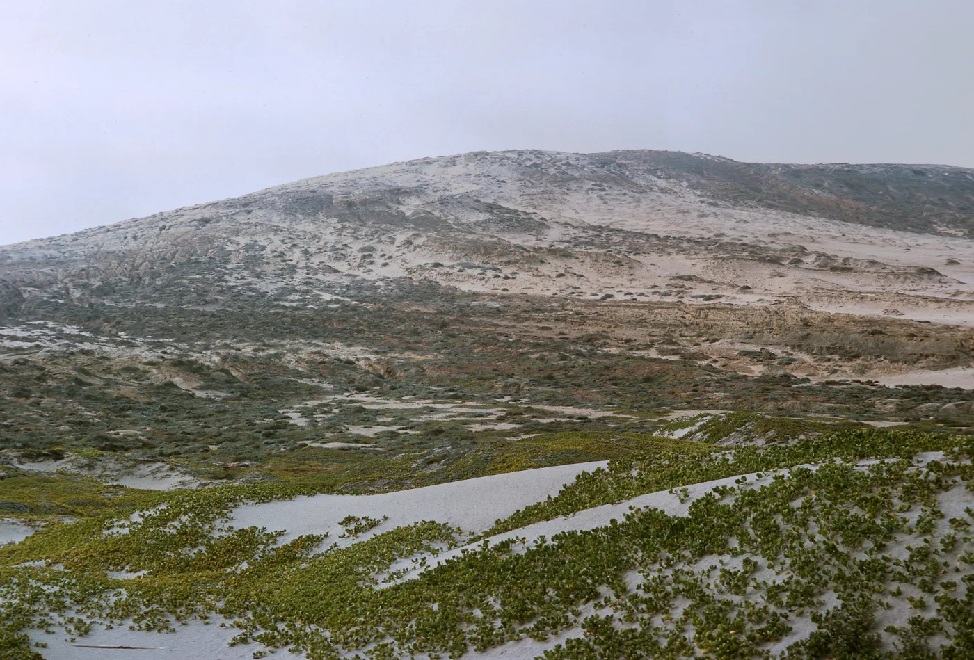 20/ looking South from Tender Beach, Northeast end of island, 65-199 & SN-116